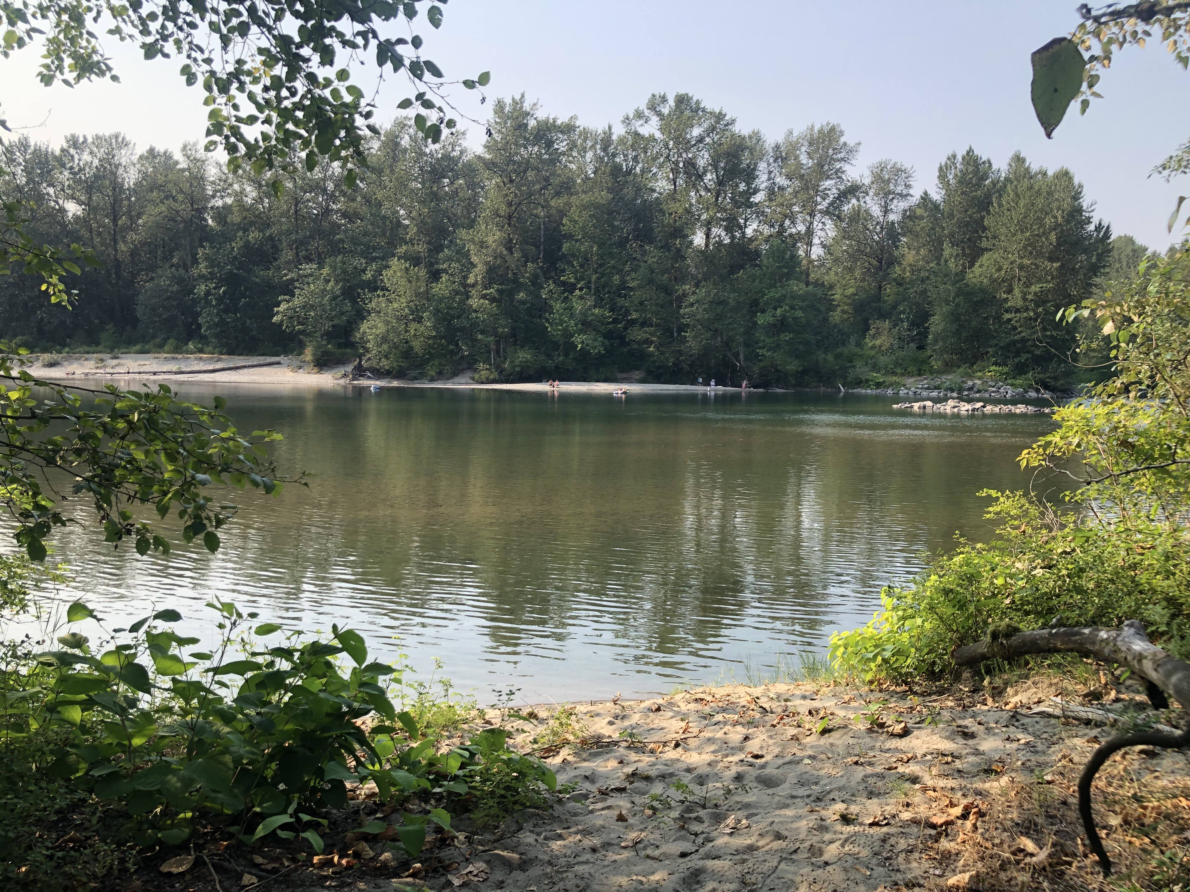 Stream camp