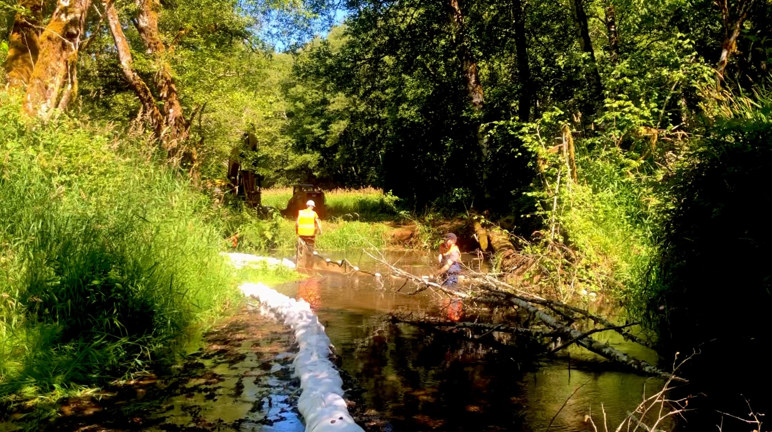 Habitat restoration